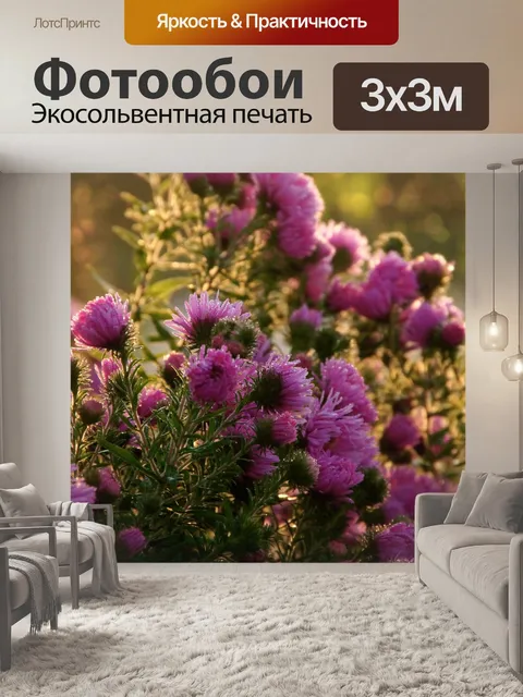 Фотообои Осенние цветы астры капли