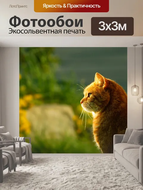 Фотообои Кошка