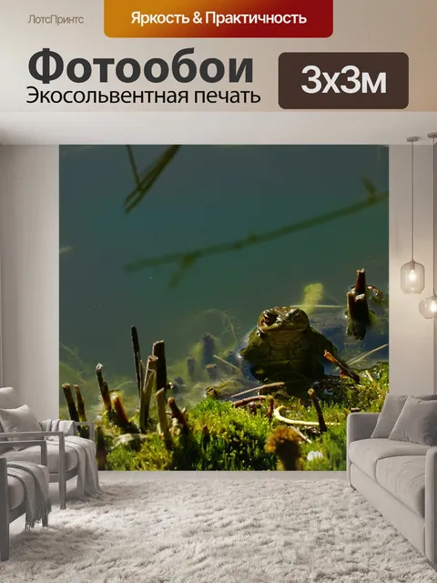 Фотообои Воды