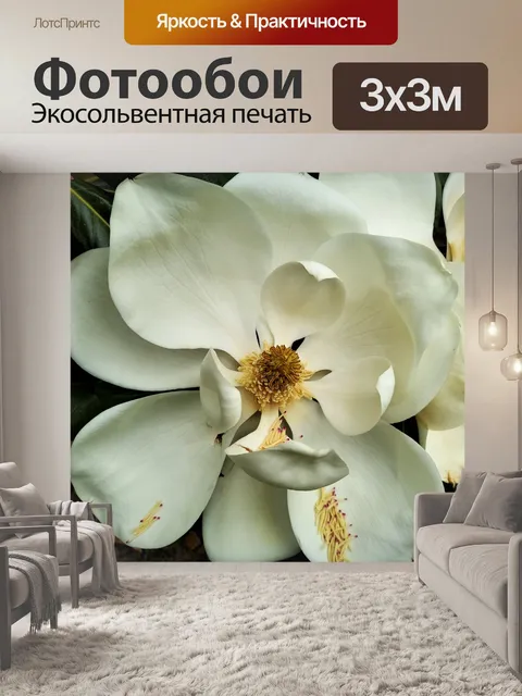 Фотообои Белый цветок магнолии крупным планом