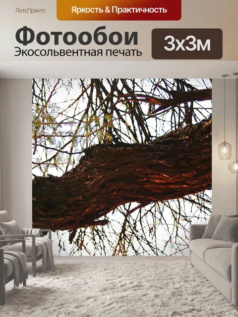 Фотообои толстая ветвь с очень грубым рыхлым