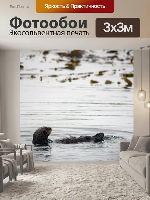 Фотообои выдра