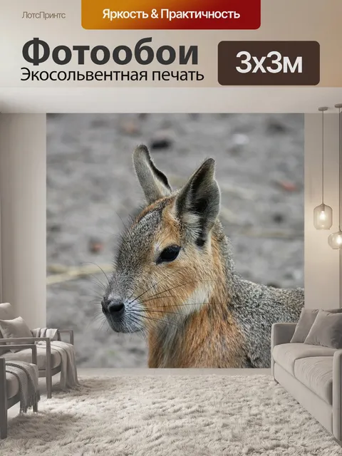 Фотообои Кролик