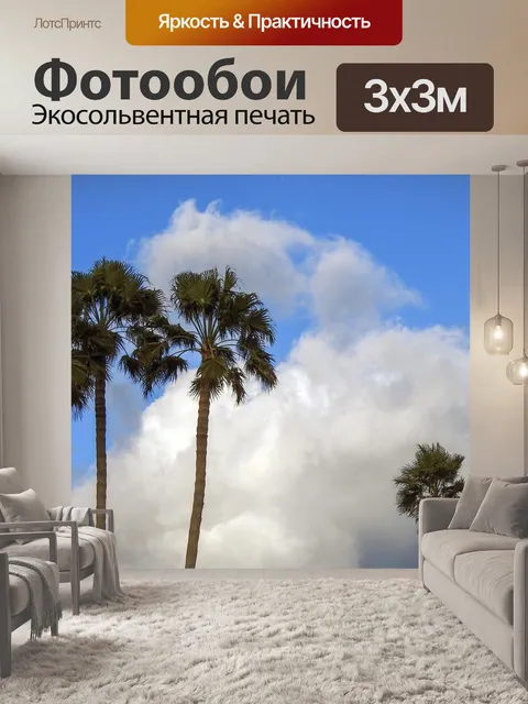 Фотообои Пальмы