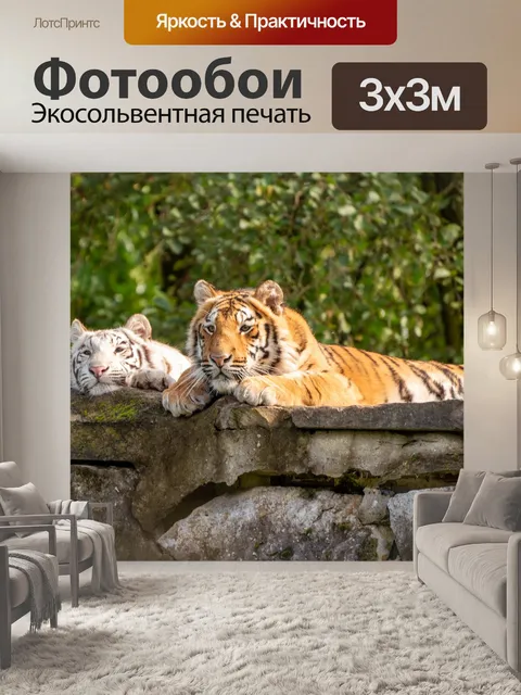 Фотообои Зоопарк