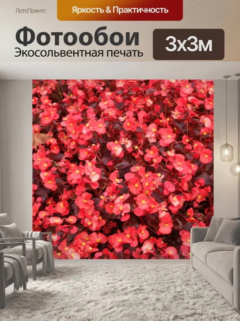 Фотообои Цветы