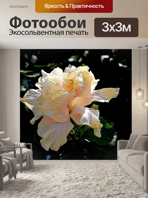 Фотообои Нежный цветок в полном расцвете