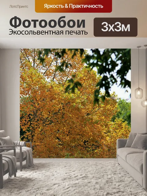 Фотообои в начале осени платан