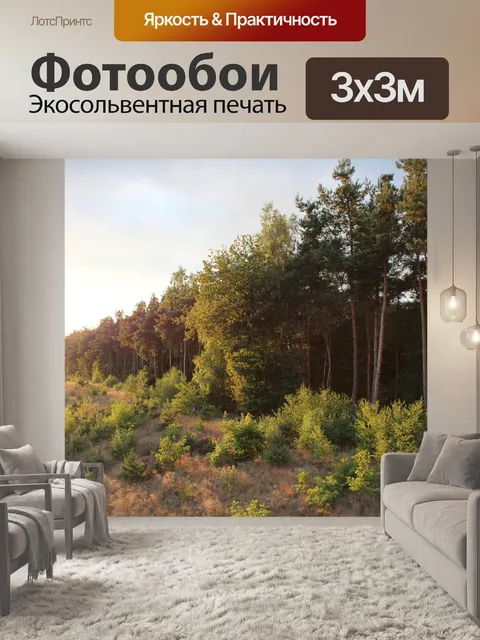 Фотообои Опушке леса