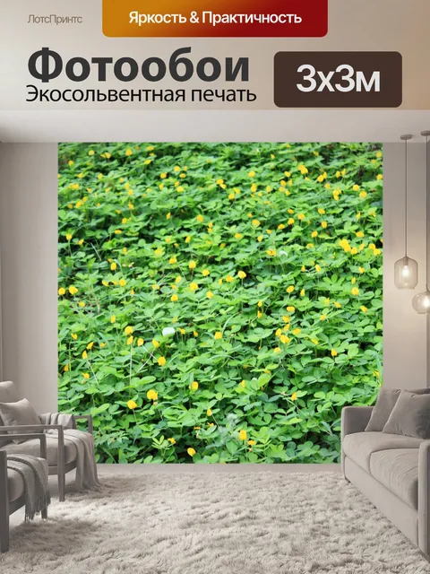 Фотообои Зеленый и желтый