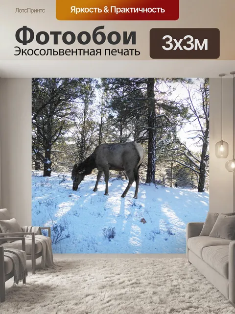 Фотообои Олени в снегу