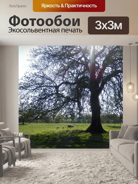 Фотообои Солнце через Дерево с Овцы