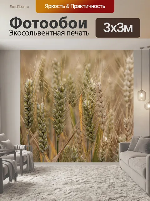 Фотообои Золотое пшеничное поле и солнечный день