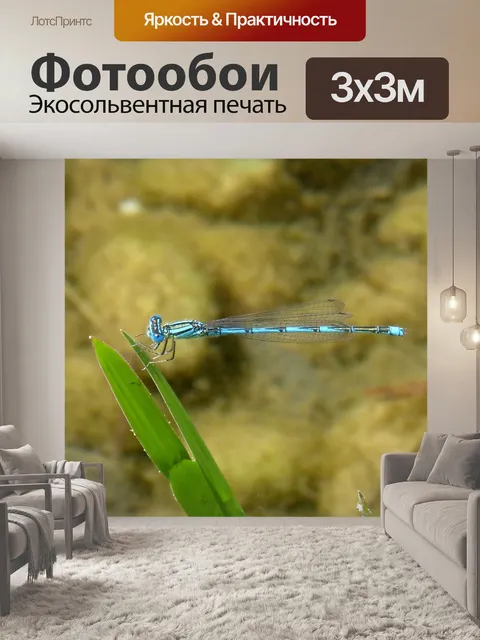 Фотообои Стрекоза