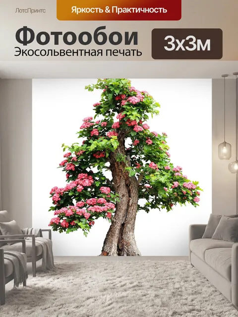 Фотообои Клипарт цветущее дерево бонсай