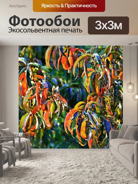Фотообои персиковое дерево осенью