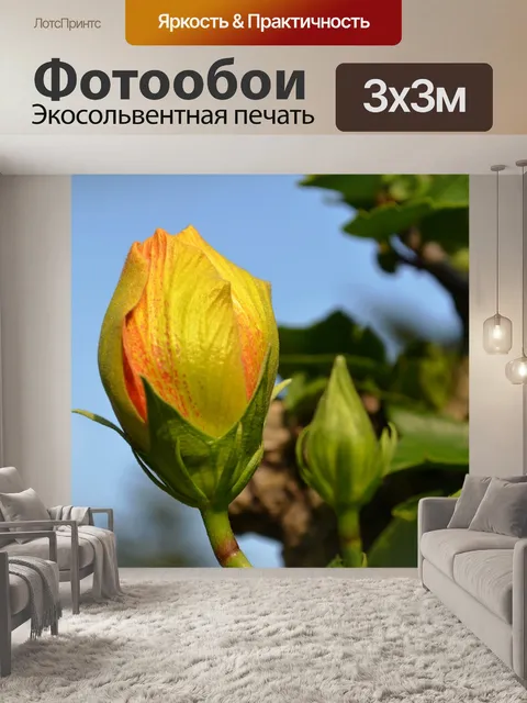 Фотообои Бутон