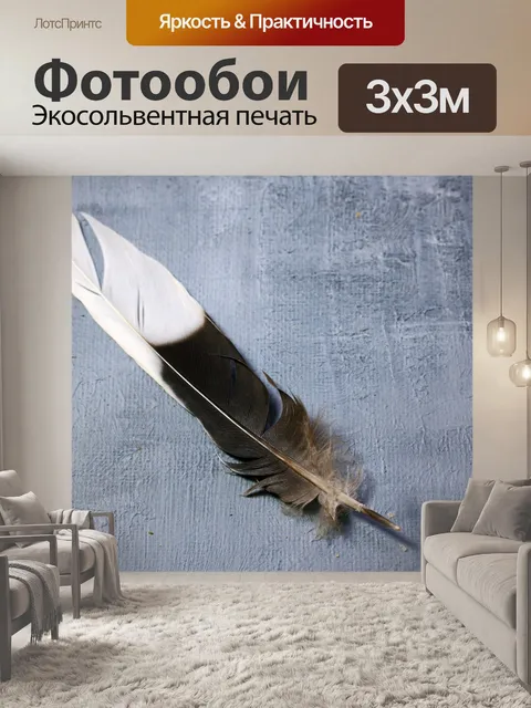 Фотообои черно-белое перо на сером