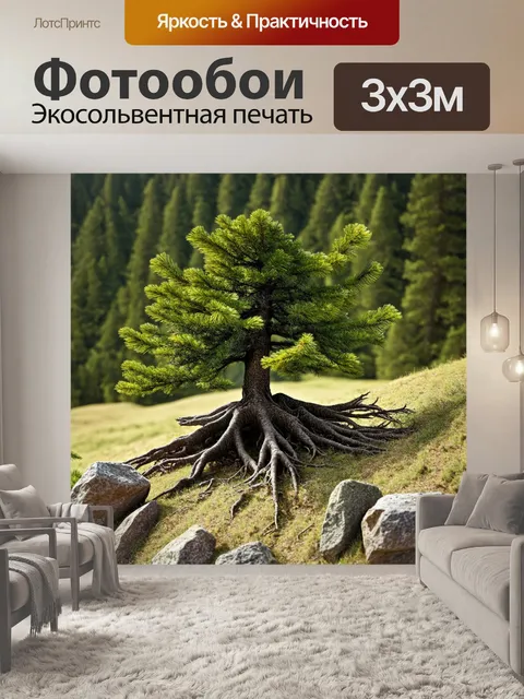 Фотообои сосновое дерево, растущее на склоне, с корнями, обвивающими молодые камни, в реалистичном стиле