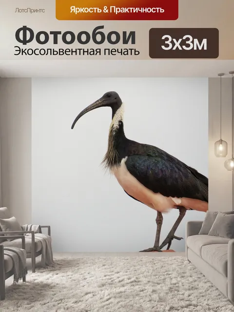 Фотообои Соломы шеей ибис
