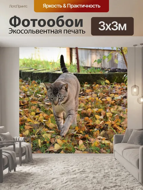 Фотообои Кошка