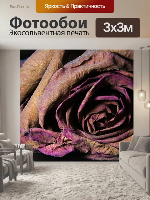 Фотообои Роза