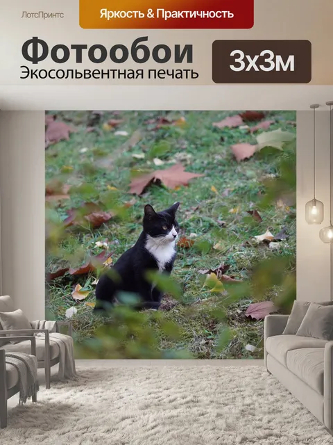 Фотообои Кошка