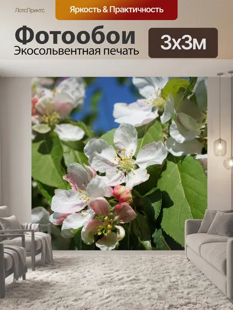 Фотообои Цветение вишни