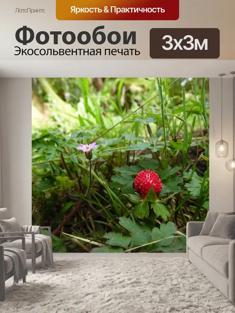 Фотообои Малый Земляника