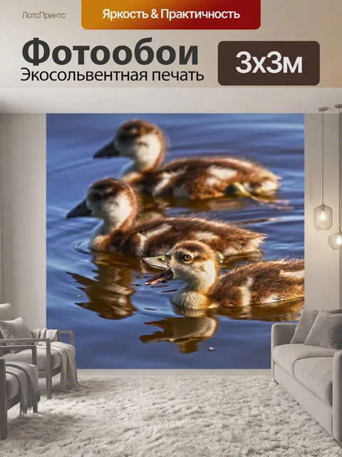Фотообои Нил гусь