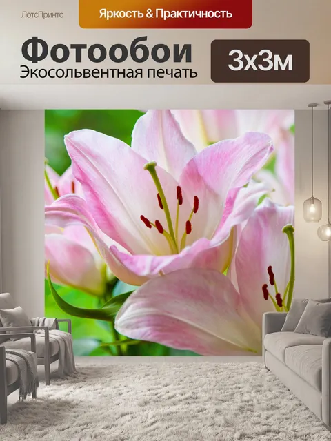 Фотообои розовые лилии