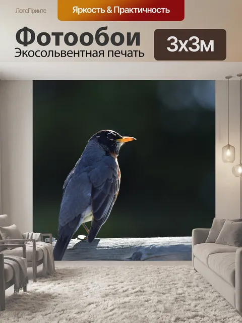 Фотообои Робин на рельсах