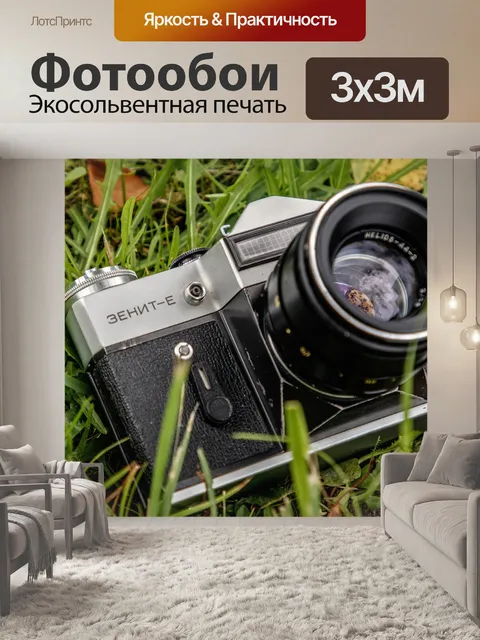 Фотообои Зеркальная камера