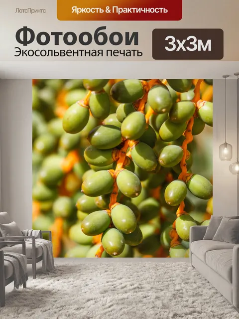Фотообои пальмовые даты
