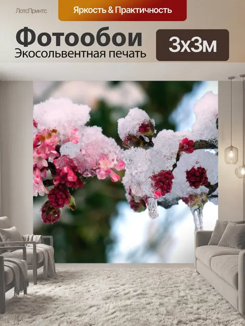 Фотообои Цветы