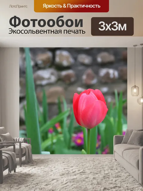 Фотообои Цветок