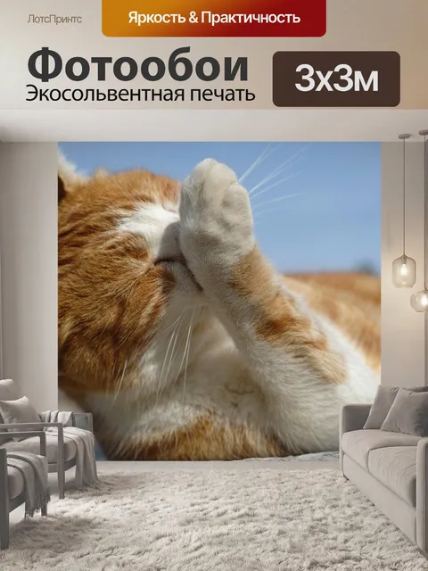 Фотообои Кошка
