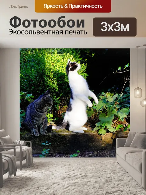 Фотообои Кошки