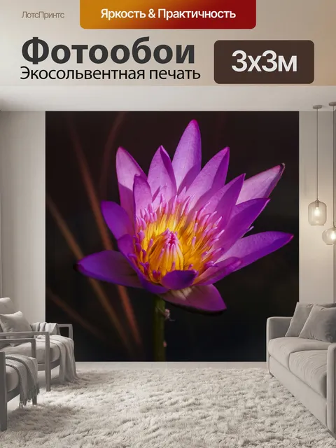 Фотообои красивый цветок лотоса