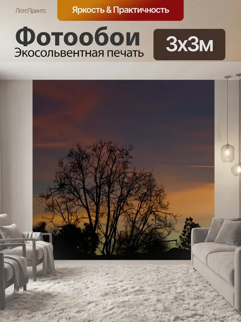 Фотообои Закат розовый