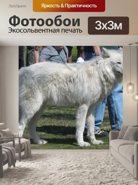 Фотообои волк