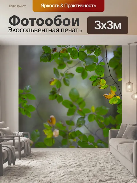 Фотообои Осенние листья