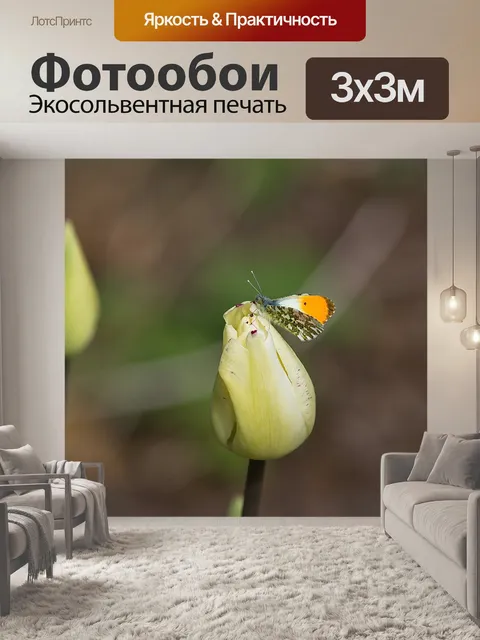 Фотообои Тюльпан