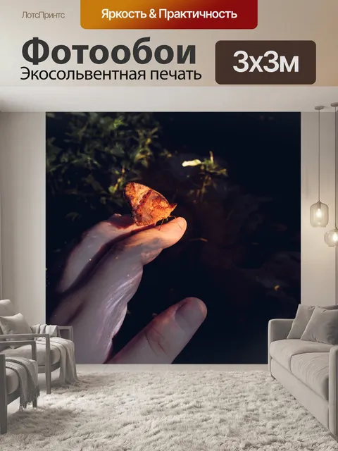 Фотообои Бабочка