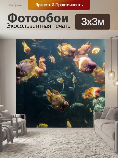 Фотообои Рыбы
