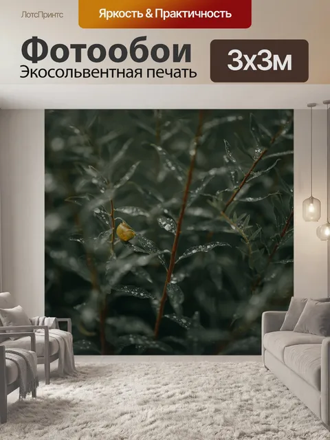 Фотообои Листья