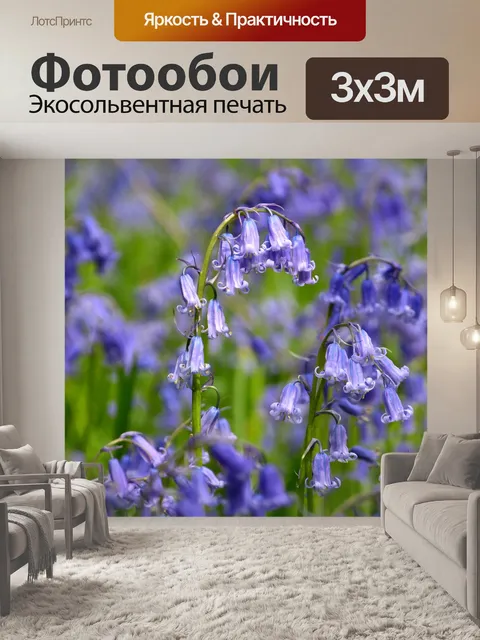 Фотообои Бабочка орхидея
