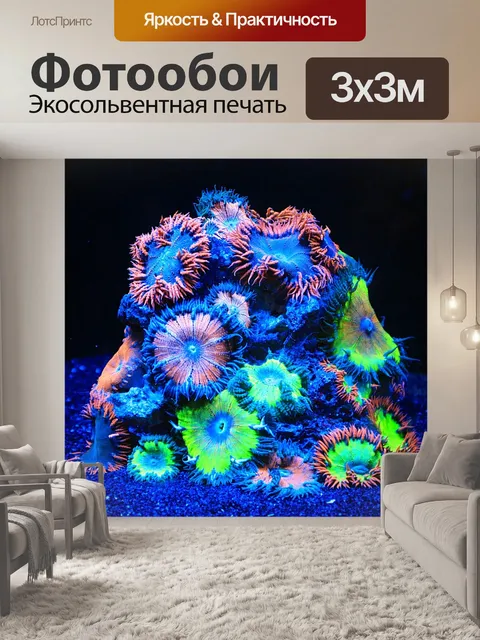 Фотообои Кораллы