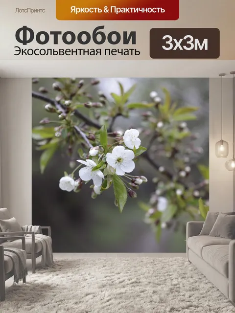 Фотообои Дача