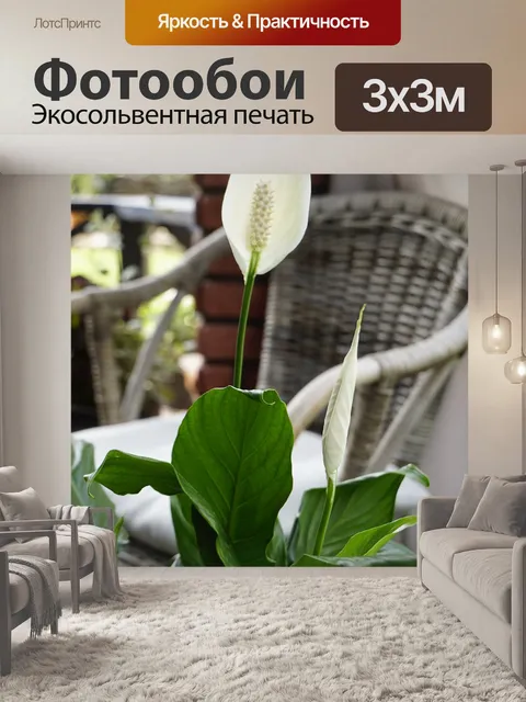 Фотообои Растение